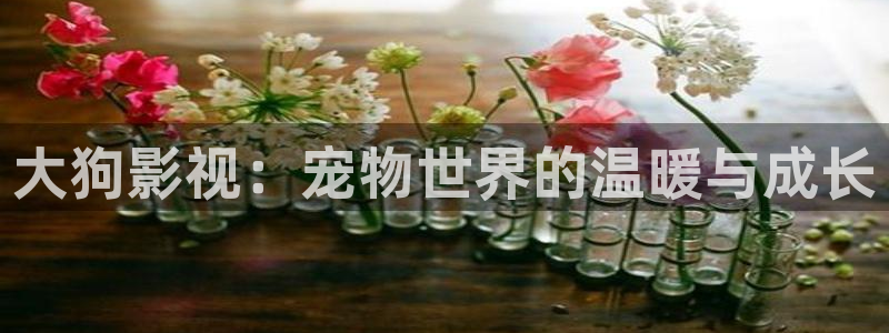 4488私人影院