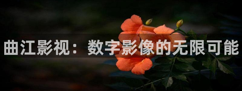 天天私人影院