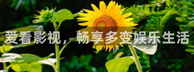郑州私人影院陪看