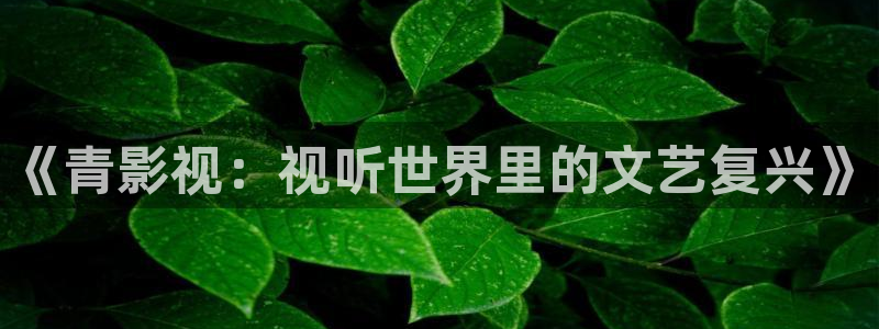 moon私人影院