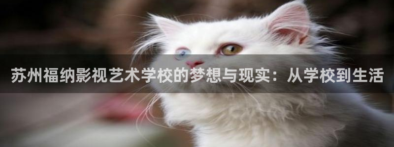 北京私人影院公司